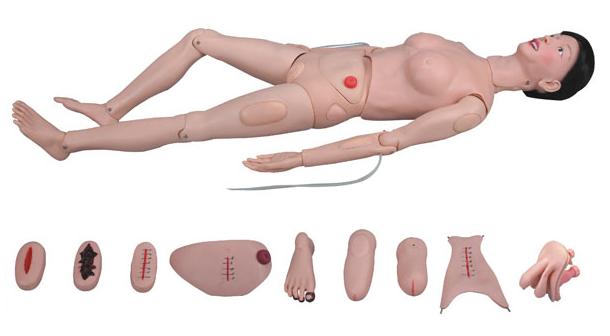 高级全功能护理人训练模型（女性）