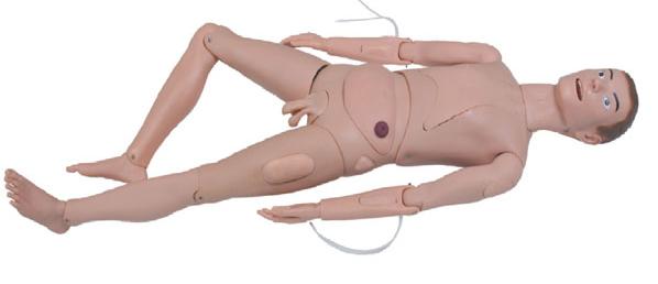 高级组合式基础护理人训练模型