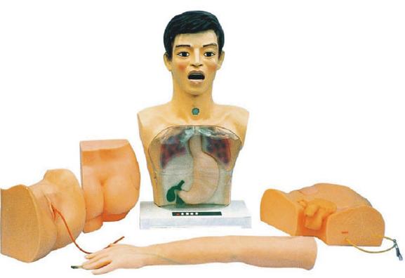 新型基础护理模型