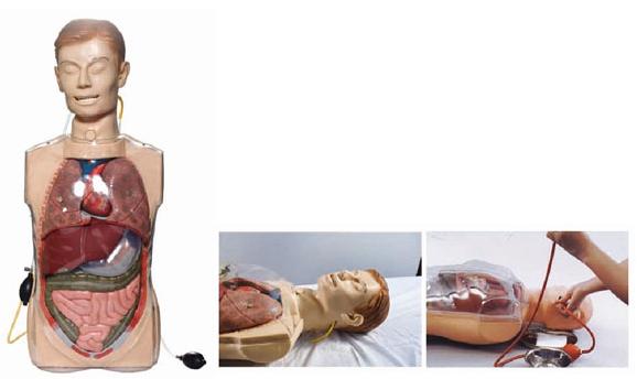 多功能透明洗胃训练模型