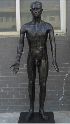 十四经穴针灸铜人|现代版针灸铜人|针灸铜人(真铜全铜 170CM 成人型)