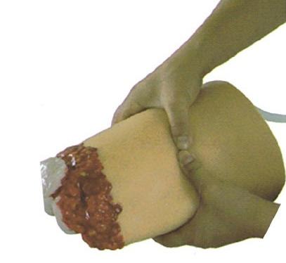 下肢外伤断肢止血模型