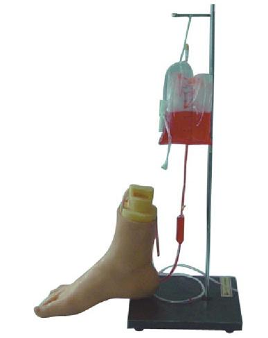 下肢足部静脉注射仿真模型