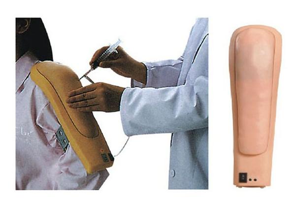 高级电子上臂肌肉注射训练模型