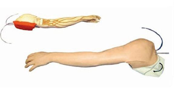 完整静脉穿刺手臂模型