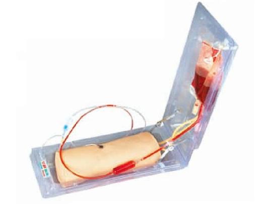 高级肘部静脉穿刺训练模型