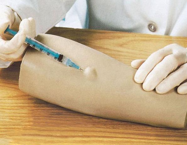 高级手臂皮内注射模型