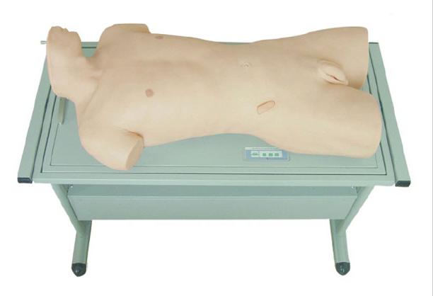 综合穿刺术与叩诊检查技能训练模型