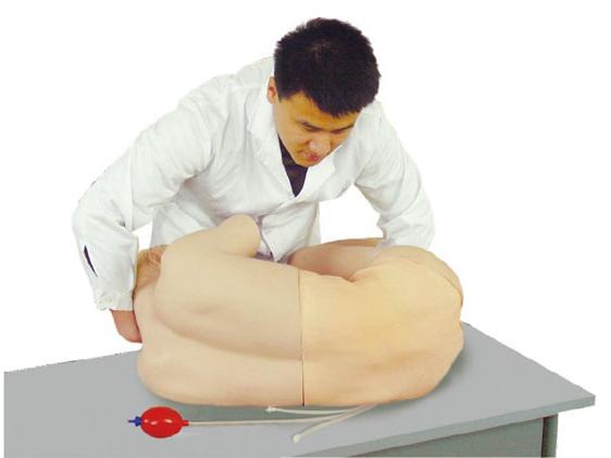腰椎穿刺训练模型