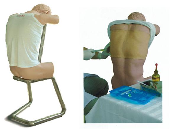 胸腔（背部）穿刺训练模型