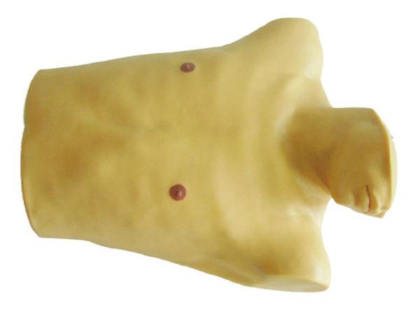 心包穿刺与心内注射训练模型