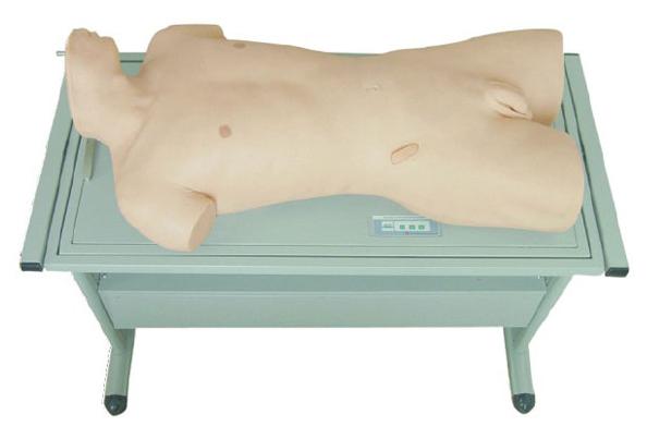 肝脓肿穿刺与胸腔穿刺训练模型