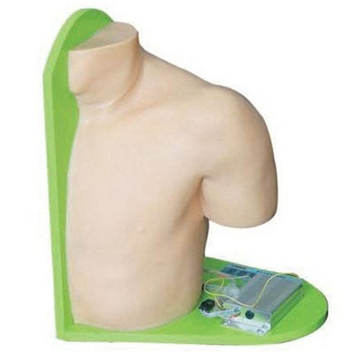 肩关节腔内注射模型