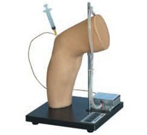 肘关节腔内注射模型