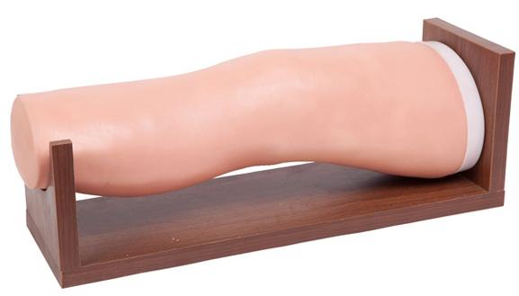 膝关节腔内注射模型