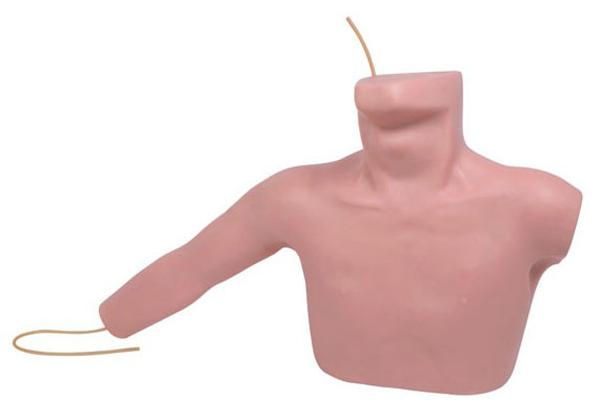 外周穿刺、中心静脉穿刺插管模型