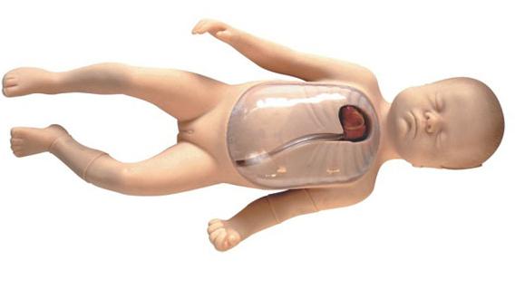 新生儿外周中心静脉插管模型