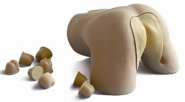 前列腺检查模型