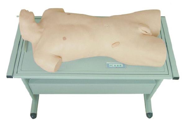 腹部移动性浊叩诊与腹腔穿刺训练模型