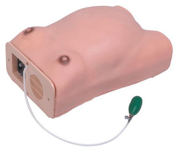 高级电脑孕妇检查模型