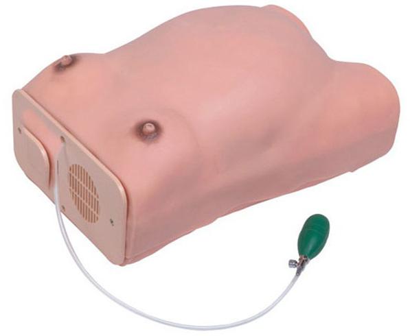 高级孕妇检查模型