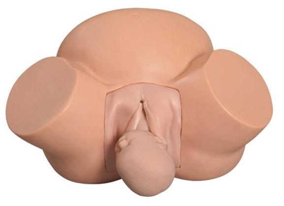 高级助产训练模型