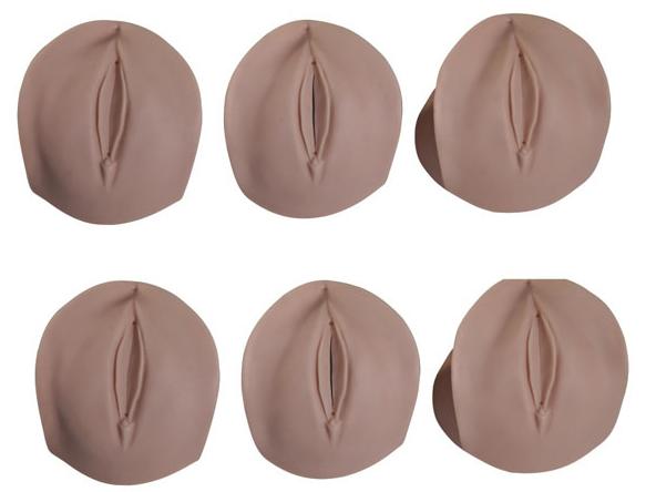 产前宫颈变化与产道关系模型