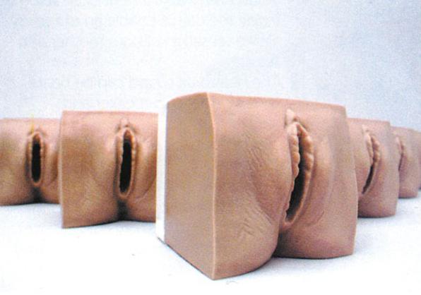 高级产前宫颈变化与产道关系模型