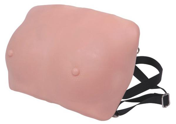 高级乳房检查模型