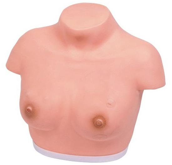 高级乳腺视诊与触诊模型