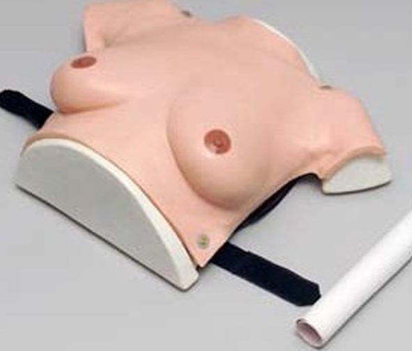 高级着装式乳房自检模型