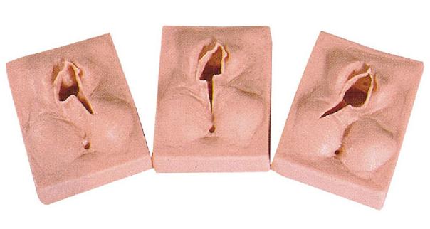 高级外阴缝合练习模型