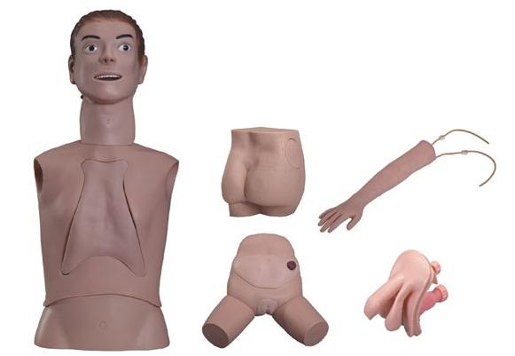 高级基础护理实习操作模型