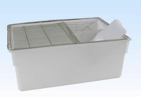 R5型不透明大鼠笼(小鼠群养笼)