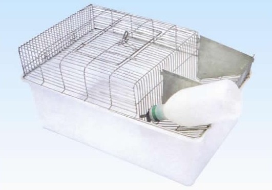 R1型大鼠笼1