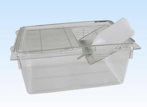 CP4全透明大鼠笼（小鼠群养笼）