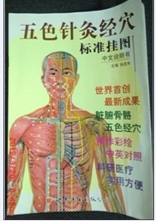 中医人体针灸经穴教学挂图|针灸经穴标准挂图