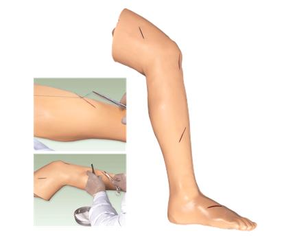 高级外科缝合下肢模型