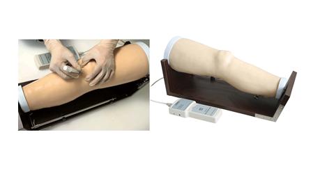 高级电子膝关节腔内注射模型