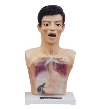 带警示透明洗胃机制模型