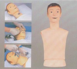 高级鼻胃管与气管护理模型