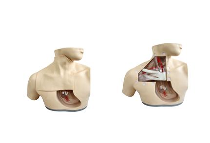 高级肠外营养护理模型
