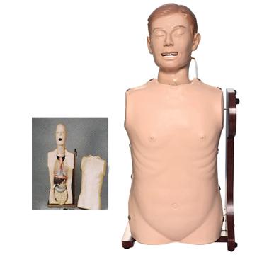 高级鼻胃管与气管护理模型