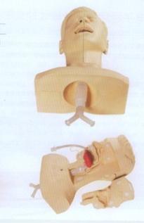 高级吸痰练习模型