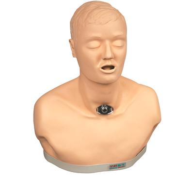 高级成人气管切开护理模型