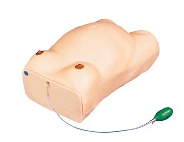 高级孕妇检查模型