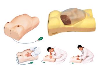 高级电脑孕妇检查模型