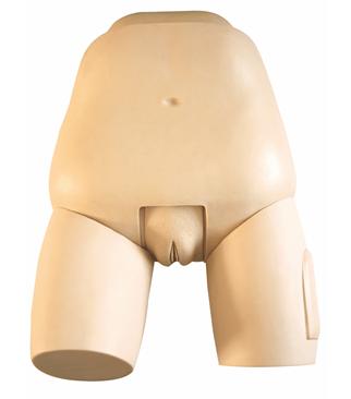 高级子宫底检查评定模型