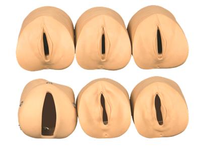 产前宫颈变化与产道关系模型