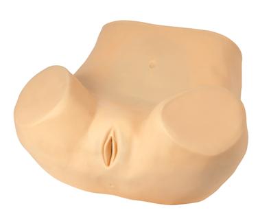 高级妇科训练模型